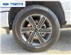 2022 Ford F-150 XLT (Stk: NKF17137T) in Wallaceburg - Image 10 of 24