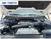 2022 Ford F-150 XLT (Stk: NKF17137T) in Wallaceburg - Image 24 of 24