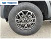 2025 Ford Ranger XLT (Stk: SLE31295T) in Wallaceburg - Image 10 of 25