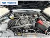 2025 Ford Ranger XLT (Stk: SLE31295T) in Wallaceburg - Image 25 of 25