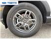 2026 Ford Bronco Sport Big Bend (Stk: TRE36018) in Wallaceburg - Image 10 of 24