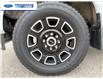2025 Ford F-250 Platinum (Stk: SED12829T) in Wallaceburg - Image 10 of 25
