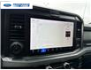 2025 Ford F-250 Platinum (Stk: SED12829T) in Wallaceburg - Image 17 of 25