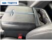 2025 Ford F-250 Platinum (Stk: SED12829T) in Wallaceburg - Image 20 of 25