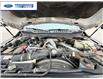 2025 Ford F-250 Platinum (Stk: SED12829T) in Wallaceburg - Image 25 of 25