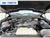 2024 Ford F-150 XLT (Stk: RKF42389T) in Wallaceburg - Image 20 of 20