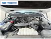 2024 Ford Expedition Max Platinum (Stk: REA06742T) in Wallaceburg - Image 21 of 21