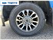 2021 Ford F-250 Lariat (Stk: MED36626T) in Wallaceburg - Image 10 of 25
