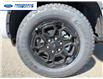 2026 Ford Ranger XLT (Stk: TLE13007) in Wallaceburg - Image 10 of 25