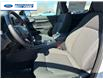 2026 Ford Ranger XLT (Stk: TLE13007) in Wallaceburg - Image 11 of 25