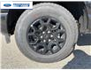 2026 Ford F-150 STX (Stk: TKD29573) in Wallaceburg - Image 10 of 24