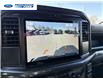 2026 Ford F-150 STX (Stk: TKD29573) in Wallaceburg - Image 17 of 24