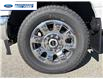 2026 Ford F-250 Lariat (Stk: TEE27041) in Wallaceburg - Image 10 of 26