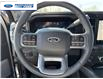 2026 Ford F-250 Lariat (Stk: TEE27041) in Wallaceburg - Image 14 of 26