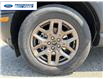 2026 Ford Bronco Sport Big Bend (Stk: TRE39267) in Wallaceburg - Image 10 of 24