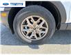 2026 Ford Bronco Sport Big Bend (Stk: TRE40854) in Wallaceburg - Image 10 of 24