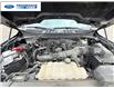 2021 Ford F-150 XLT (Stk: MFA75289T) in Wallaceburg - Image 23 of 23