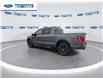 2021 Ford F-150 XLT (Stk: MFA75289T) in Wallaceburg - Image 6 of 23