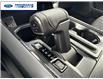 2026 Ford F-150 XLT (Stk: TKD41027) in Wallaceburg - Image 20 of 25