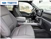 2026 Ford F-150 XLT (Stk: TKD41027) in Wallaceburg - Image 24 of 25