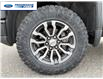 2023 GMC Sierra 1500 AT4 (Stk: PZ176249T) in Wallaceburg - Image 10 of 23