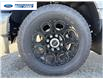 2026 Ford F-250 XLT (Stk: TEE27069) in Wallaceburg - Image 10 of 25