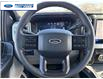 2026 Ford F-250 XLT (Stk: TEE27069) in Wallaceburg - Image 14 of 25