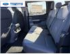 2026 Ford F-250 XLT (Stk: TEE27069) in Wallaceburg - Image 22 of 25