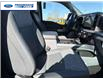 2026 Ford F-250 XLT (Stk: TEE27069) in Wallaceburg - Image 24 of 25