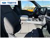 2026 Ford F-150 XLT (Stk: TKD64538) in Wallaceburg - Image 24 of 25