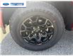 2026 Ford F-150 XLT (Stk: TKD56109) in Wallaceburg - Image 10 of 25