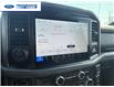 2026 Ford F-150 XLT (Stk: TKD56109) in Wallaceburg - Image 16 of 25