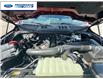 2026 Ford F-150 XLT (Stk: TKD56109) in Wallaceburg - Image 25 of 25