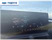 2024 Ford Mustang Dark Horse (Stk: R5507110T) in Wallaceburg - Image 16 of 25