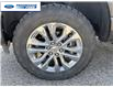 2024 Ford F-150 King Ranch (Stk: RFA99304T) in Wallaceburg - Image 10 of 26