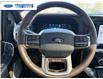 2024 Ford F-150 King Ranch (Stk: RFA99304T) in Wallaceburg - Image 14 of 26