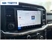2024 Ford F-150 King Ranch (Stk: RFA99304T) in Wallaceburg - Image 16 of 26