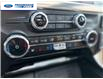 2024 Ford F-150 King Ranch (Stk: RFA99304T) in Wallaceburg - Image 19 of 26