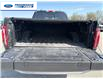 2024 Ford F-150 King Ranch (Stk: RFA99304T) in Wallaceburg - Image 24 of 26