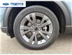 2026 Ford Explorer Active (Stk: TGB68107) in Wallaceburg - Image 10 of 26