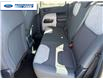 2026 Ford Maverick XLT (Stk: TRA68744) in Wallaceburg - Image 21 of 24
