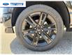 2026 Ford F-150 STX (Stk: TFA90302) in Wallaceburg - Image 10 of 24
