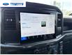 2026 Ford F-150 STX (Stk: TFA90302) in Wallaceburg - Image 16 of 24