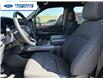 2025 Ford F-150 XLT (Stk: SKD39882T) in Wallaceburg - Image 11 of 24 2025 Ford F-150 XLT (Stk: SKD39882T) in Wallaceburg - Image 11 of 24