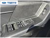 2025 Ford F-150 XLT (Stk: SKD39882T) in Wallaceburg - Image 12 of 24 2025 Ford F-150 XLT (Stk: SKD39882T) in Wallaceburg - Image 12 of 24