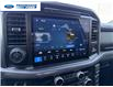 2025 Ford F-150 XLT (Stk: SKD39882T) in Wallaceburg - Image 15 of 24 2025 Ford F-150 XLT (Stk: SKD39882T) in Wallaceburg - Image 15 of 24