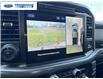 2025 Ford F-150 XLT (Stk: SKD39882T) in Wallaceburg - Image 16 of 24 2025 Ford F-150 XLT (Stk: SKD39882T) in Wallaceburg - Image 16 of 24