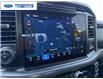 2025 Ford F-150 XLT (Stk: SKD39882T) in Wallaceburg - Image 17 of 24 2025 Ford F-150 XLT (Stk: SKD39882T) in Wallaceburg - Image 17 of 24