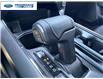 2025 Ford F-150 XLT (Stk: SKD39882T) in Wallaceburg - Image 19 of 24 2025 Ford F-150 XLT (Stk: SKD39882T) in Wallaceburg - Image 19 of 24