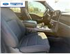 2025 Ford F-150 XLT (Stk: SKD39882T) in Wallaceburg - Image 23 of 24 2025 Ford F-150 XLT (Stk: SKD39882T) in Wallaceburg - Image 23 of 24